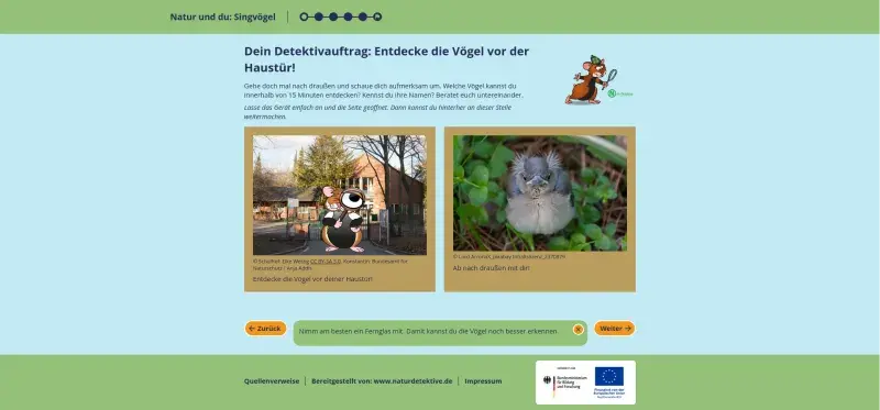 Ausschnitt TP Singvögel 2