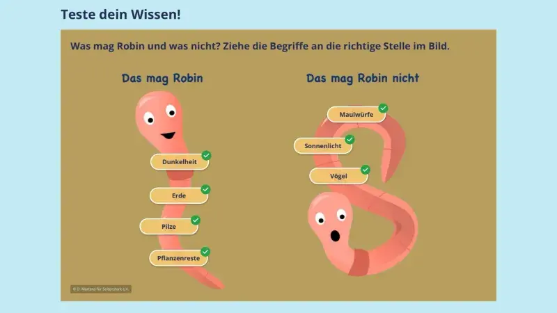 Drag and Drop zu Robin Regenwurm