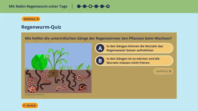 Quizfrage