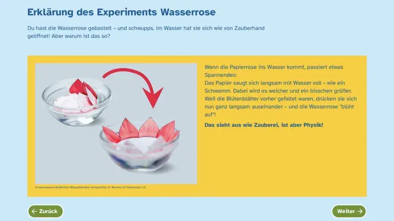 Klassewasser Erklärung Experiment