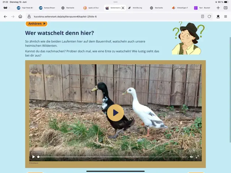 Wer watschelt denn da?