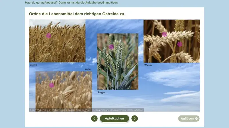 Drag an Drop Getreide